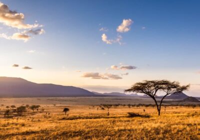 The Best Time to Visit Kenya, Tanzania, Uganda, and Rwanda